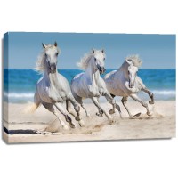 Jocelyn Borivoj - Horses Run Along The Coast  