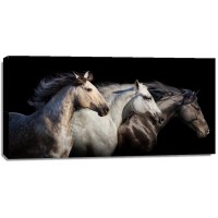 Edith Leanne - Horses - Run Gallop  