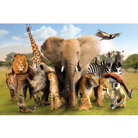 Wild World