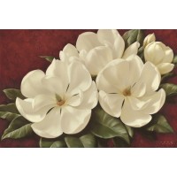 Igor Levashov - Magnolia II