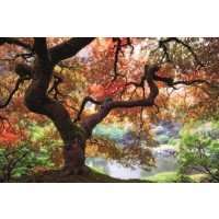 Aaron Reed - Dreaming in October