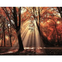 Lars Van de Goor - Dressed To Shine