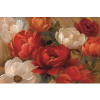 Nan - Jardin De Corail