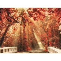 Lars Van de Goor - Red for Rest