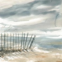Carol Robinson - Subtle Mist II