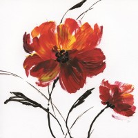 Nan - 	Red Poppy Splash III