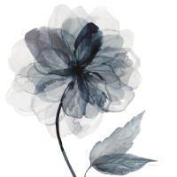 Carol Robinson - Indigo Bloom I