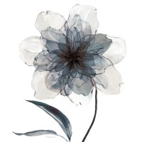 Carol Robinson - Indigo Bloom II