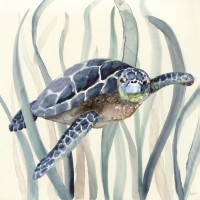 Nan - Turtle in Seagrass II