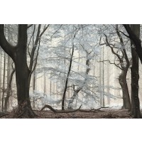 Lars Van de Goor - Silverwood