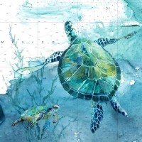 Carol Robinson - Island Swim II