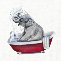 Donna Brooks - Bathing Beauty II