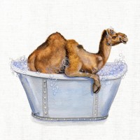 Donna Brooks - Bathing Beauty III
