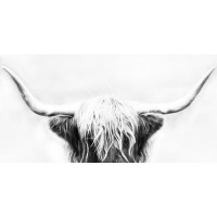 Danita Delimont - Highland Cow - Longhorn