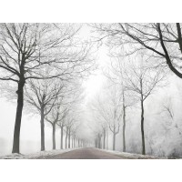 Lars Van de Goor - The Last Winter