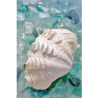 Alan Blaustein - Crystal Harbor - 31