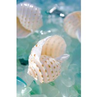 Alan Blaustein - Crystal Cove - 24