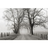 Nicholas Bell - Sparks Lane, Late Autumn