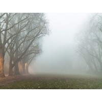 Kent Burkhardsmeier - Intriguing Beginnings
