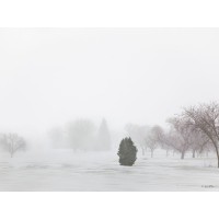 Kent Burkhardsmeier - Growth