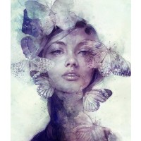 Anna Dittman - Adorn