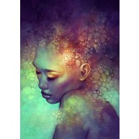 Anna Dittman - Camouflage