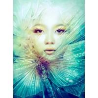 Anna Dittman - Locust