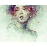 Anna Dittman - Swarm