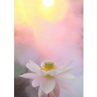 Bahman Farzad - Beauty at Dawn