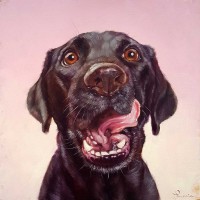 Lucia Heffernan - Follow Your Nose 7