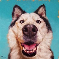 Lucia Heffernan - Follow Your Nose 10