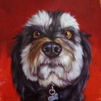 Lucia Heffernan - Follow Your Nose 11