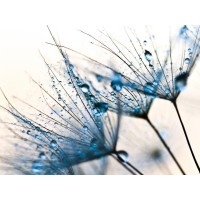 PhotoINC Studio - Mystic Blue