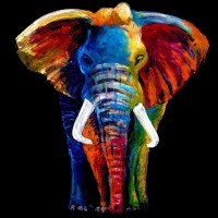 Clara Summer - Great Elephant
