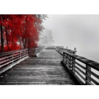 Vladimir Kostka - Fall Walkway