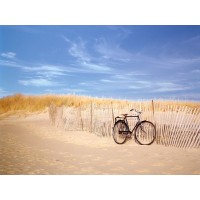 Alan Klug - Cape Cod