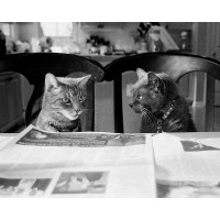 Kim Levin - Not While Im Reading