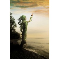 Jeff Madison - Where the Trees Stand