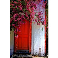Dean Mayo - Red Door