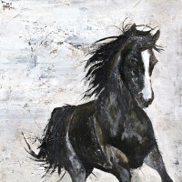Design Fabrikken - Wild Horse 1