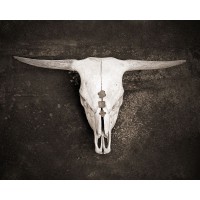 Brooke T. Ryan - Sepia Cattle Skull