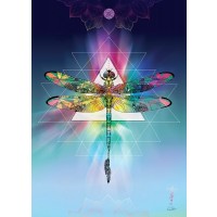 Karin Roberts - Cosmic Dragonfly