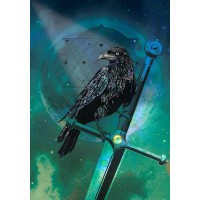Karin Roberts - Cosmic Raven
