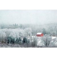 Brooke T. Ryan - Red Barn