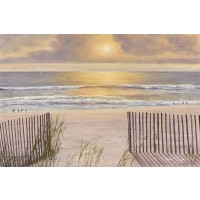 Diane Romanello - Beach Light