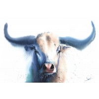 Eric Sweet - Bull