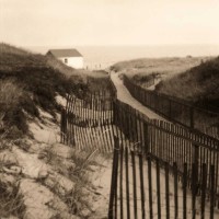 Christine Triebert - Dune Fence