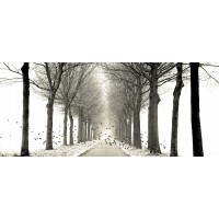 Lars Van de Goor - Birds