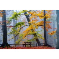 Lars Van de Goor - Take A Seat And Enjoy