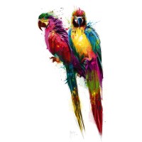 Patrice Murciano - Tropical Colors